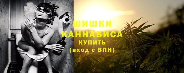 мдпв Семёнов