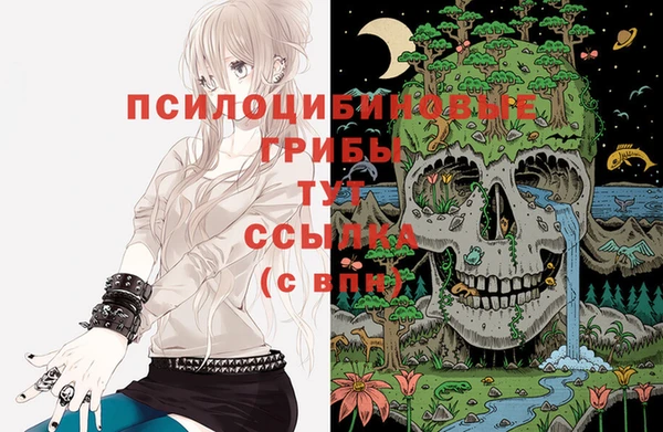 мдпв Семёнов