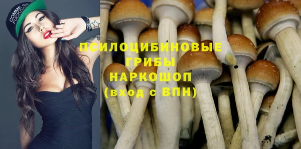ешки Семилуки