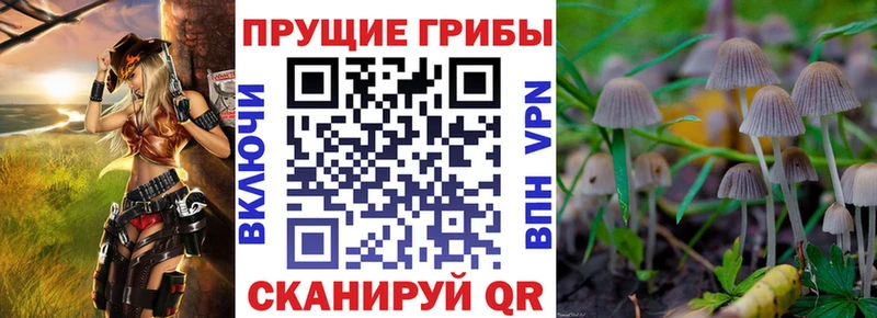Купить закладки  Семилуки  Галлюциногенные грибы прущие грибы 